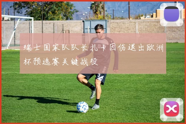 瑞士国家队队长扎卡因伤退出欧洲杯预选赛关键战役