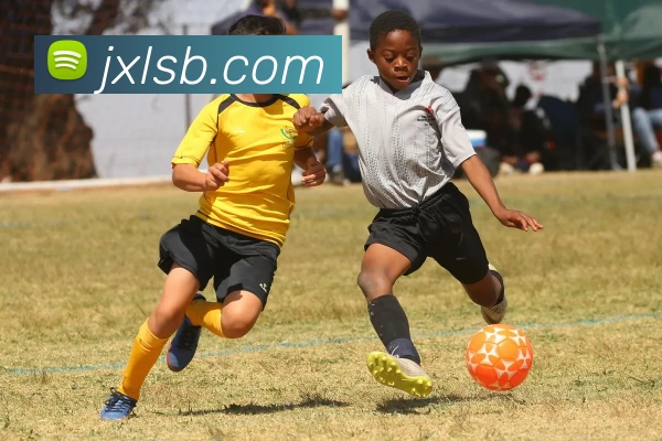 必一运动·(B - sports)官方网站 - 必一运动服务体系